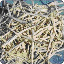 Musli White, Safed Musli Manufacturer Supplier Wholesale Exporter Importer Buyer Trader Retailer in Delhi  Delhi India